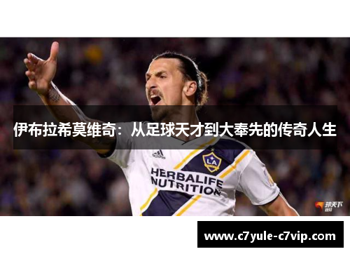 伊布拉希莫维奇：从足球天才到大奉先的传奇人生