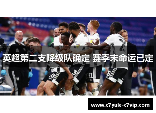 英超第二支降级队确定 赛季末命运已定